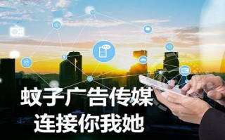 广告联盟，构建商业桥梁，驱动数字营销新纪元