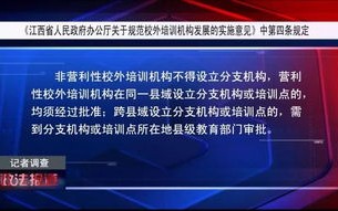 中搜广告联盟，揭秘背后的运营策略与高手实战指南