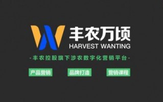 亿网广告联盟，重塑数字营销新生态