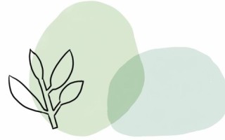请问广告联盟选哪个好啊？全面解析与推荐