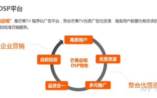 菠萝广告联盟，打造高效广告生态，引领数字营销新风尚