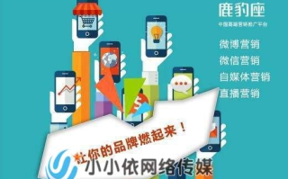 纯白广告联盟，打造高效精准广告投放的秘诀