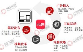 多维度策略，打造高效论坛推广计划