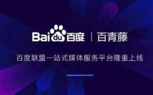 真的有广告联盟么？就是有了联盟号可以在里面点击赚钱