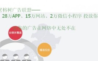 CPS联盟推广策略，打造高效转化与盈利的秘诀