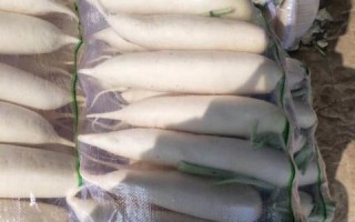美通网站联盟，打造数字营销新生态，引领品牌创新之路