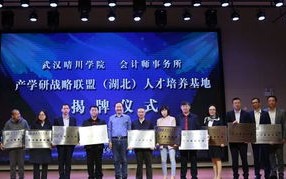 诚合CPA联盟，携手共创会计行业新篇章