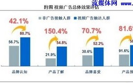 世纪广告联盟，重塑数字营销版图，引领未来商业趋势
