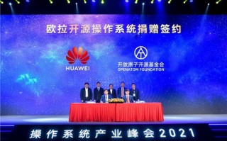 SP联盟，重塑数字娱乐生态的先锋力量