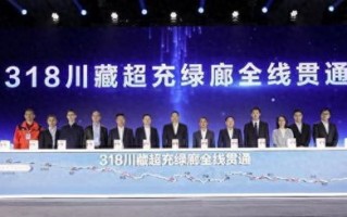 大拇指联盟，重塑信任与合作的数字时代新篇章