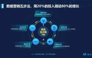 35网络广告平台，重塑数字营销新生态的领航者