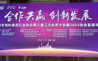 龙凤联盟，携手共进的创新力量