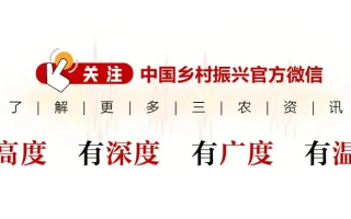 老乡广告联盟，连接乡土情感，共筑商业桥梁