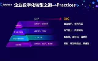 PEE广告联盟，重塑数字营销新生态的革新力量