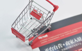 淘宝联盟单品推广问题解析，策略、挑战与解决方案
