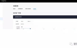 申请通过了百度联盟，现在投放在一个没有提交审核的网站上可以吗？
