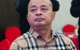 朱氏传媒，传媒巨头的崛起与未来展望