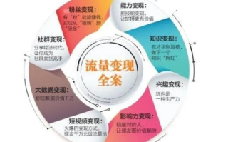 大禾流量联盟，打造高效流量变现的秘诀