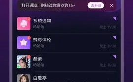 夜缘交友联盟，探索虚拟社交的新纪元