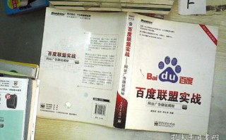 我的网站能通过百度联盟挣钱吗？