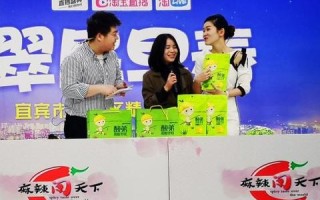 怎样利用淘宝联盟来推广东西，全面指南与策略