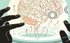 中易广告联盟系统，打造高效广告分发网络，引领数字营销新时代