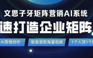 北极星广告联盟，引领数字营销新航向