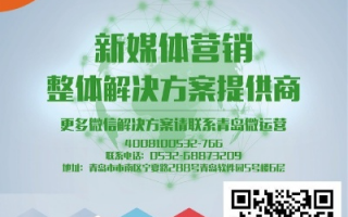 椰子广告联盟，打造高效精准营销，引领品牌新风尚