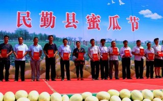 金网络联盟，重塑数字时代的商业版图