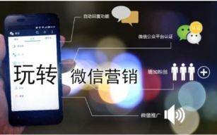 深度剖析广告联盟评测，揭秘高效推广的秘诀与陷阱