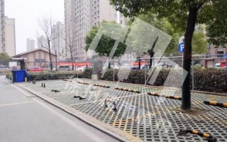 24H广告联盟，重塑数字营销新生态