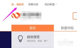 个人网站怎么用广告联盟赚钱（我是新手）