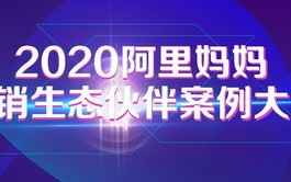 九唯广告联盟，重塑数字营销新生态的先锋力量