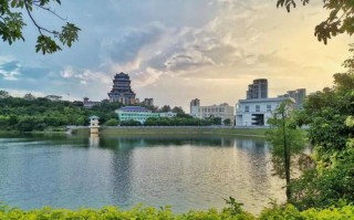 左右联盟，重塑政治生态，共筑和谐社会的双赢之路