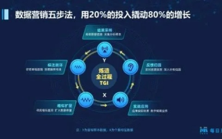 1314广告联盟，打造精准营销，引领数字时代广告新风尚
