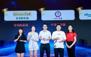 时代互联网站联盟，重塑数字时代的网络生态与共赢格局