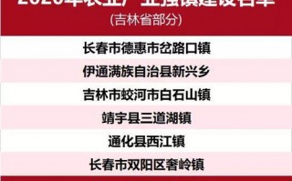 黑蒜网盟，重塑农业产业链，引领健康产业新风尚