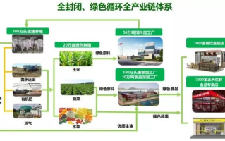 黑蒜网盟，重塑农业产业链，引领健康新风尚