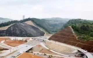 龙腾联盟，重塑全球物流版图的新篇章