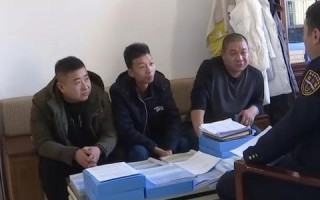 龙腾联盟，重塑全球物流版图的新篇章