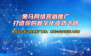 新黑马广告联盟，重塑数字营销新生态的领航者