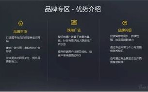 VIP广告联盟，打造高效精准广告投放的秘诀
