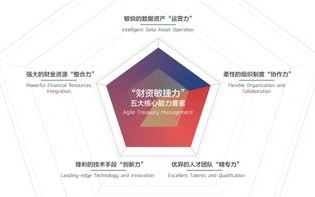 云鼎联盟，重塑数字时代的商业版图