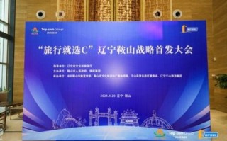 那个广告联盟的结算信誉好，探寻高效透明的合作之道