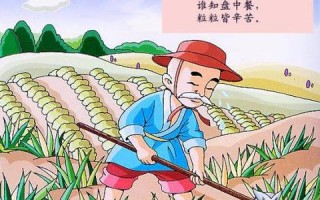 七七禾广告联盟，重塑数字营销新生态的领航者