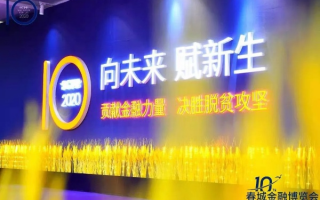金龙联盟，重塑行业生态，引领未来创新