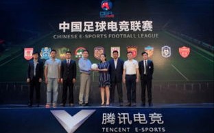 弹窗广告联盟，互联网营销的新挑战与机遇