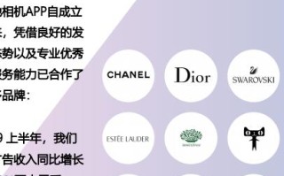 天鸽广告联盟，重塑数字营销生态，引领精准营销新时代