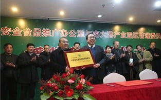 中易广告联盟，打造高效广告投放，助力企业精准营销