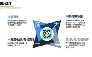 探索五百广告联盟，揭秘数字营销新势力的崛起与影响